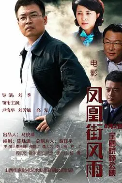 《凤凰街风雨》封面