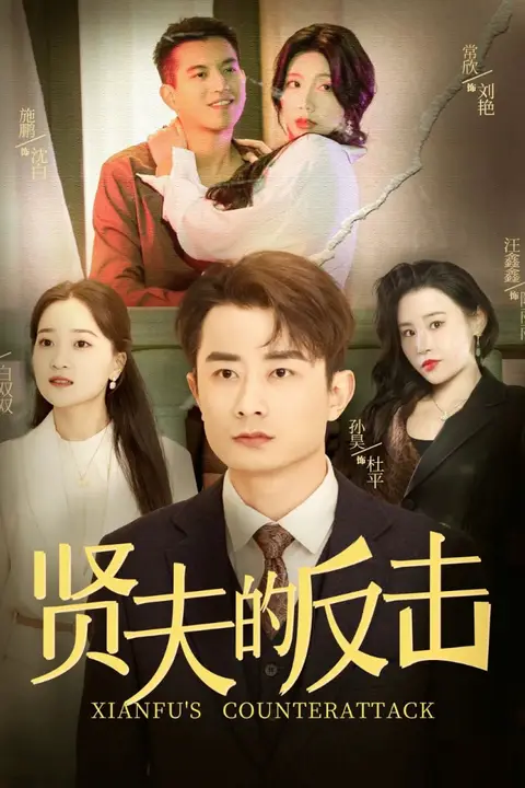 《贤夫的反击》封面