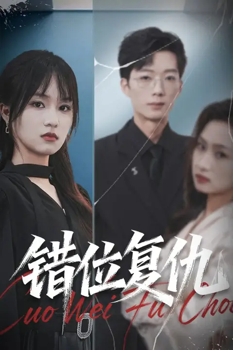 《错位复仇》封面