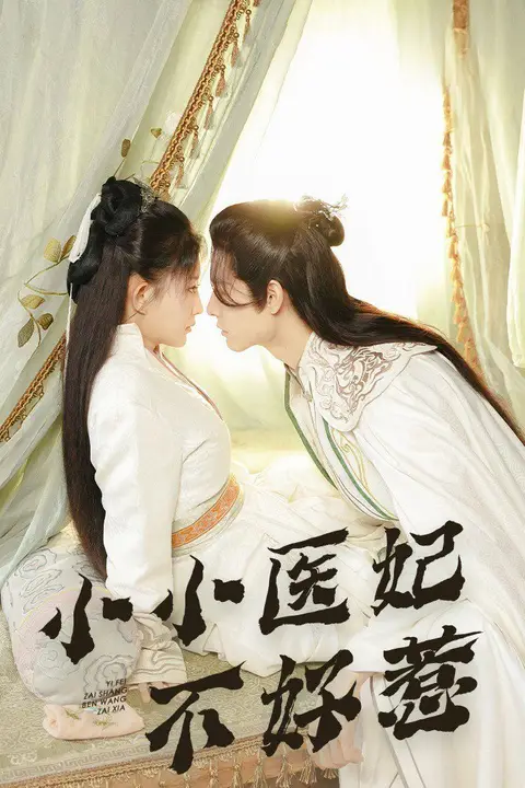 《小小医妃不好惹》封面