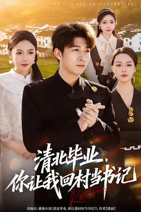 《清北毕业,你让我回村当书记》封面