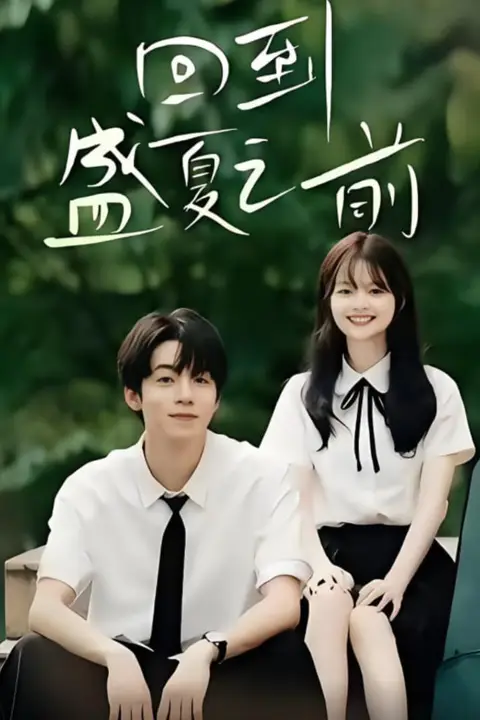 《回到盛夏之前》封面