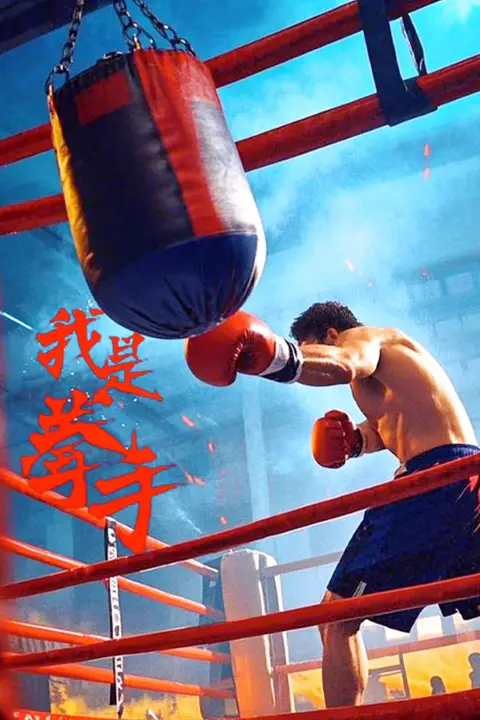 《我是拳手》封面