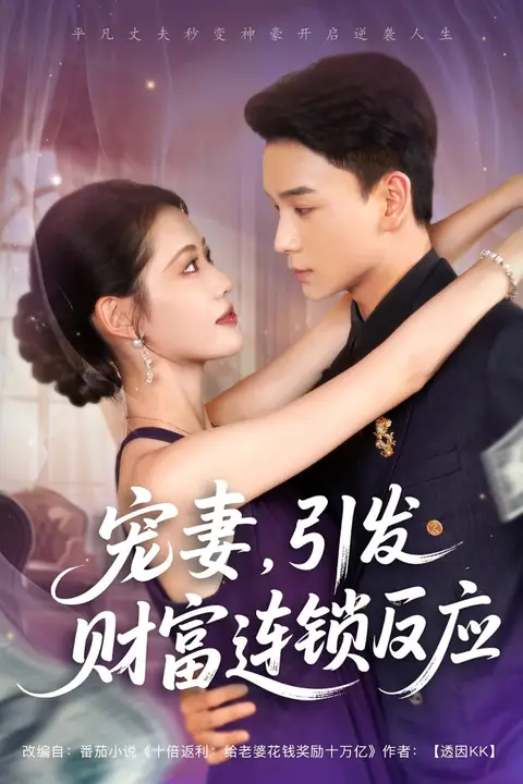 《宠妻引发财富连锁的反应》封面