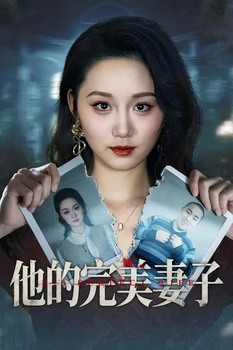 《他的完美妻子》封面