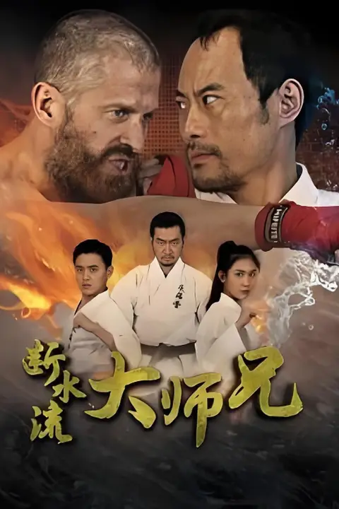 《断水流大师兄》封面