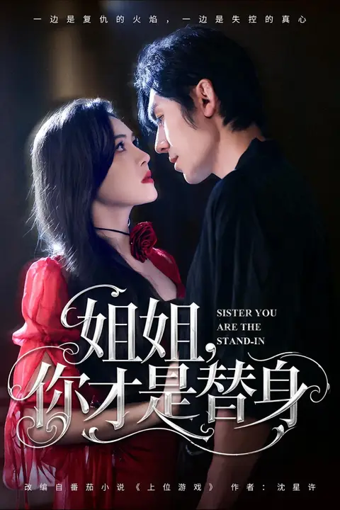 《姐姐你才是替身》封面