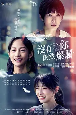 《没有你依然灿烂》封面