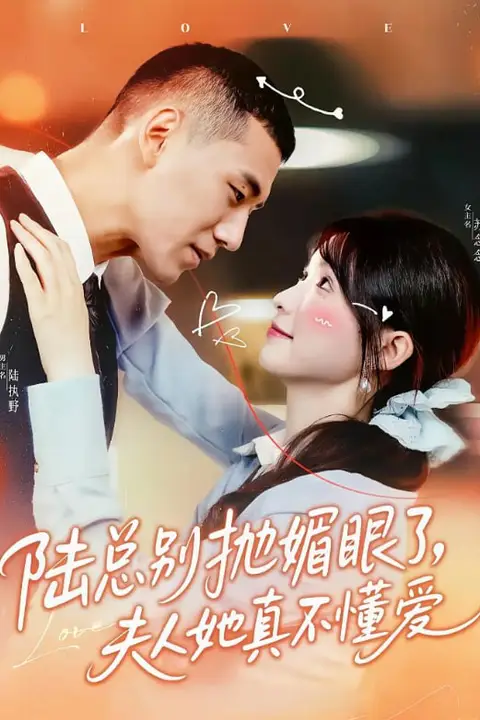 《陆总别抛媚眼了夫人她真不懂爱》封面
