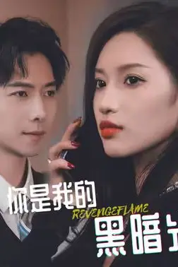 《你是我的黑暗光芒》封面