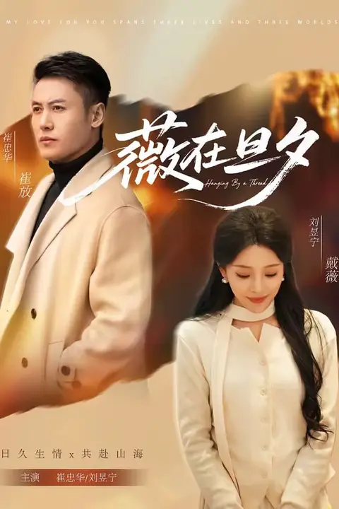 《薇在旦夕》封面