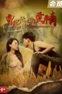 《曾经错过的爱情》封面