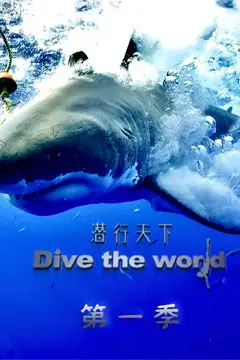 《潜行天下》封面