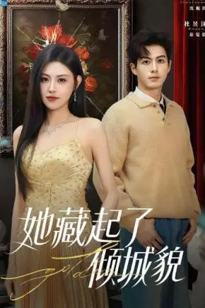 《她藏起了倾城貌》封面