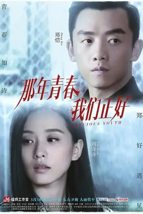 《那年青春我们正好》封面