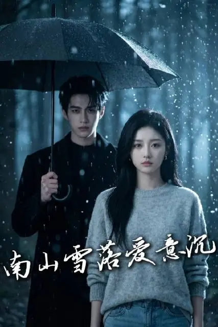《南山雪落爱意沉》封面
