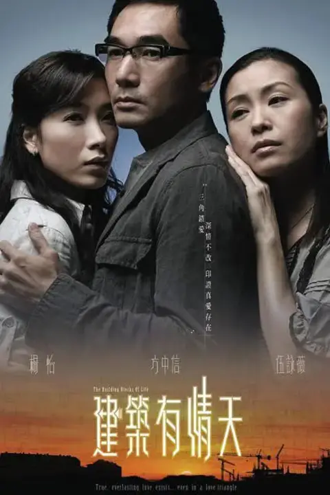 《建筑有情天》封面