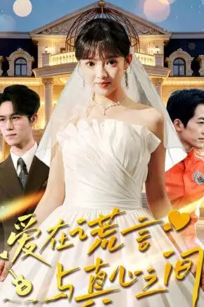 《爱在谎言与真心之间》封面