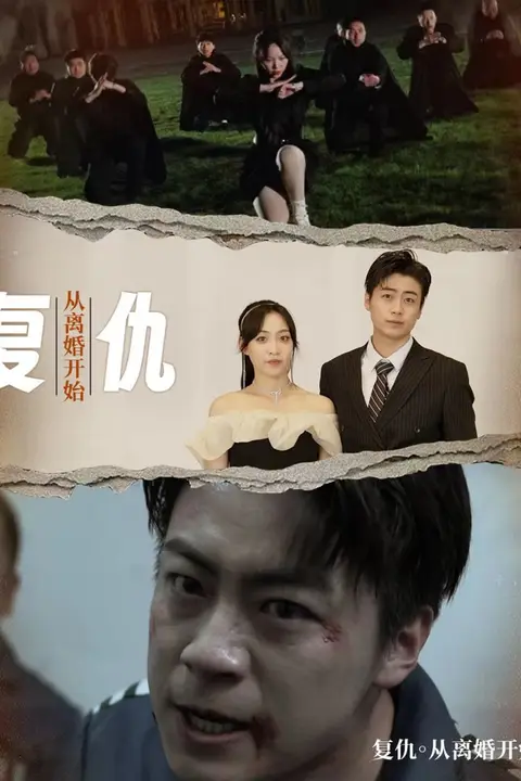 《复仇从离婚开始》封面