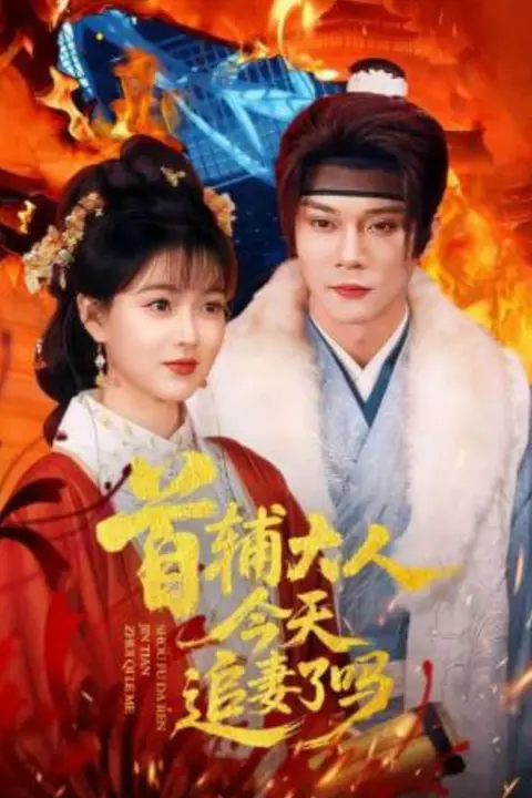 《首辅大人今天追妻了吗》封面