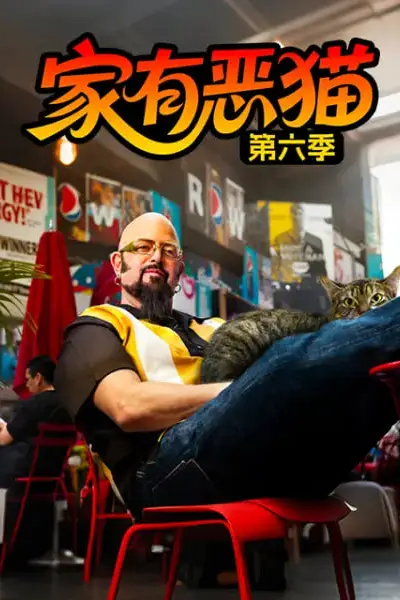 《家有恶猫 第六季》封面