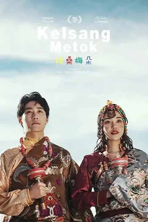《格桑梅朵 2011》封面