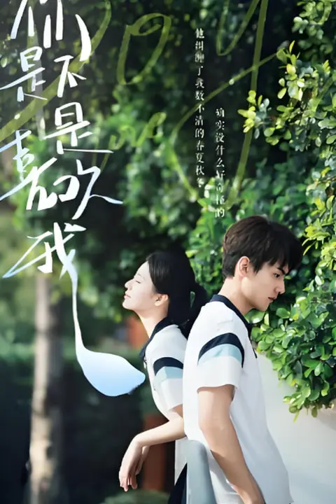 《你是不是喜欢我》封面