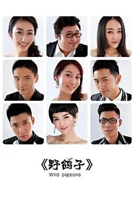《野鸽子》封面