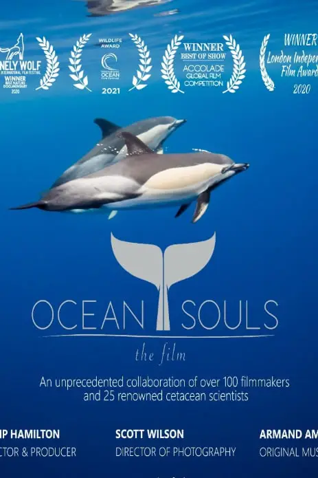 《海洋之魂》封面