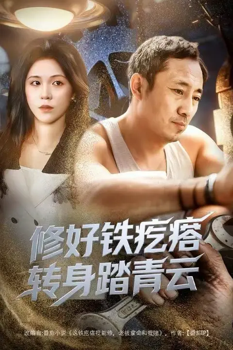 《修好铁疙瘩转身踏青云》封面