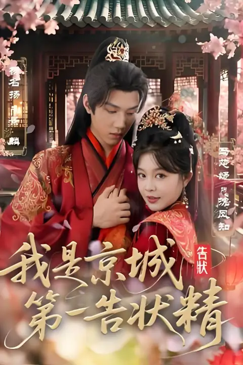 《我是京城第一告状精》封面