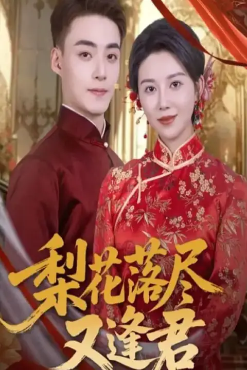 《梨花落尽又逢君》封面