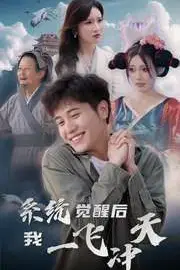 《系统觉醒后我一飞冲天》封面