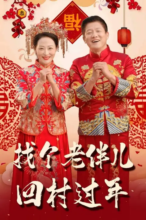 《找个老伴儿回村过年》封面