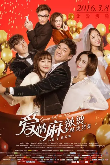 《爱情麻辣烫之情定终身》封面