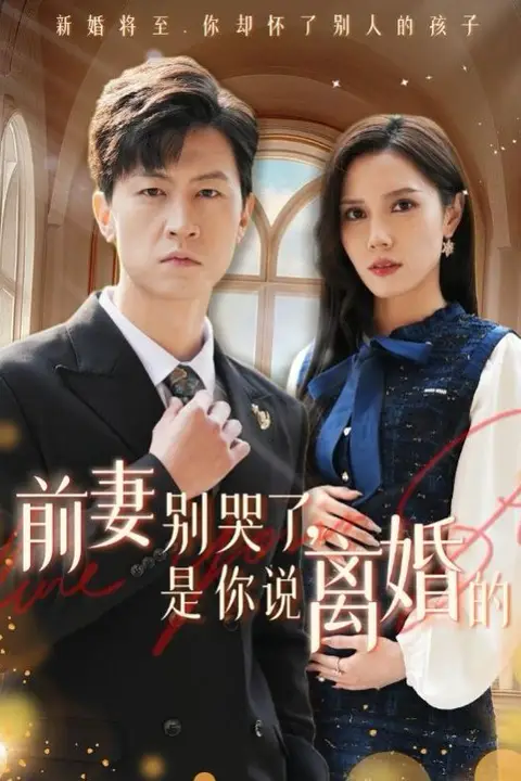 《前妻别哭了是你说离婚的》封面