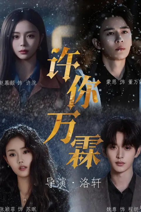 《许你万霖》封面