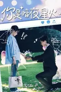 《你是暗夜星火》封面
