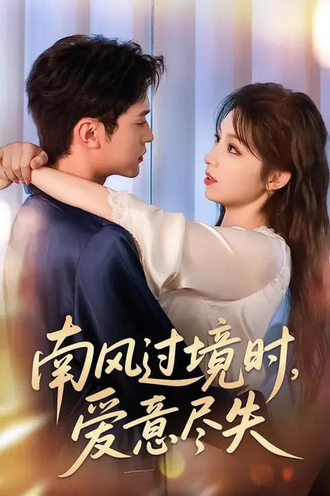 《南风过境时爱意尽失》封面