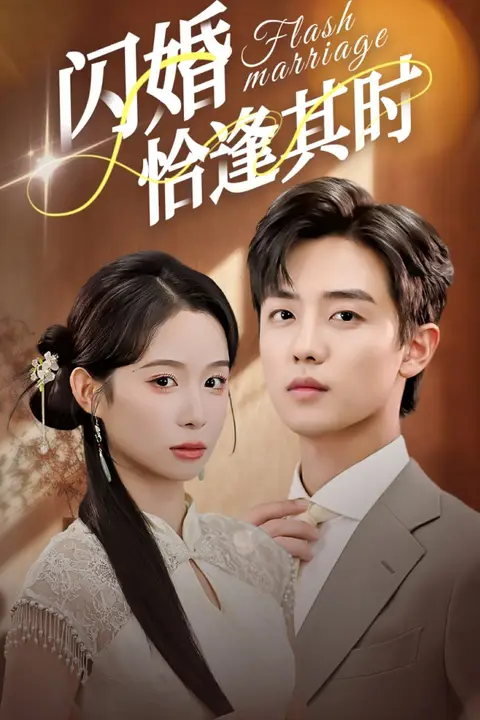 《闪婚恰逢其时》封面