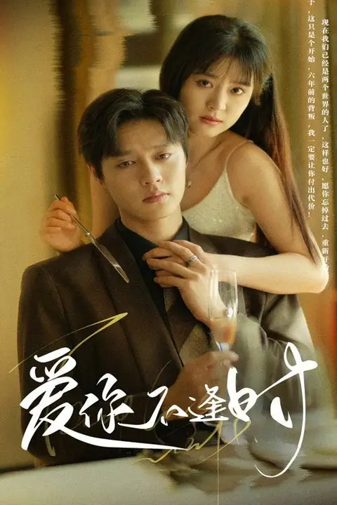 《爱你不逢时》封面