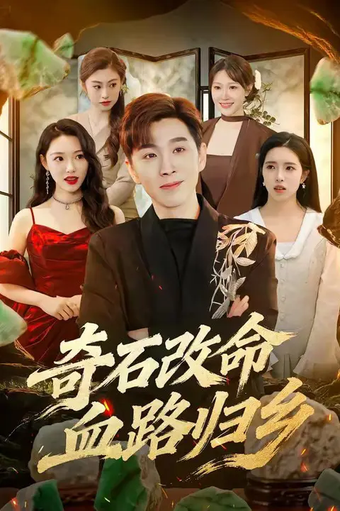 《奇石改命血路归乡》封面