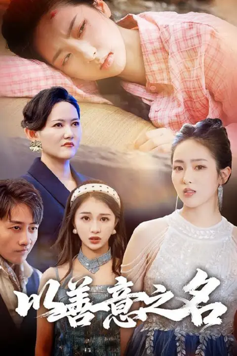 《以善意之名》封面