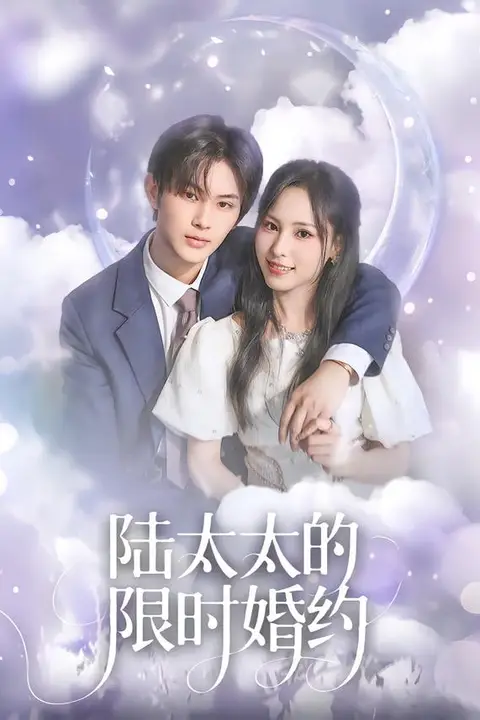 《陆太太的限时婚约》封面