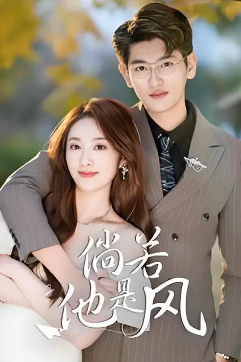 《倘若他是风》封面