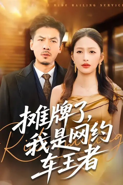 《摊牌了,我是网约车王者》封面