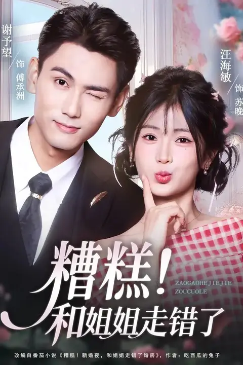 《糟糕和姐姐走错了》封面
