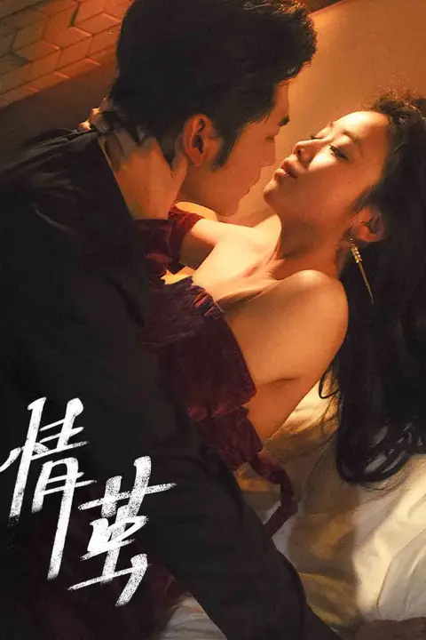 《情茧》封面