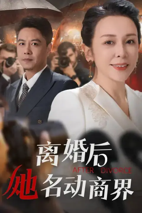 《离婚后她名动商界(中年离婚后她名动商界)》封面