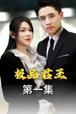 《极品君王》封面